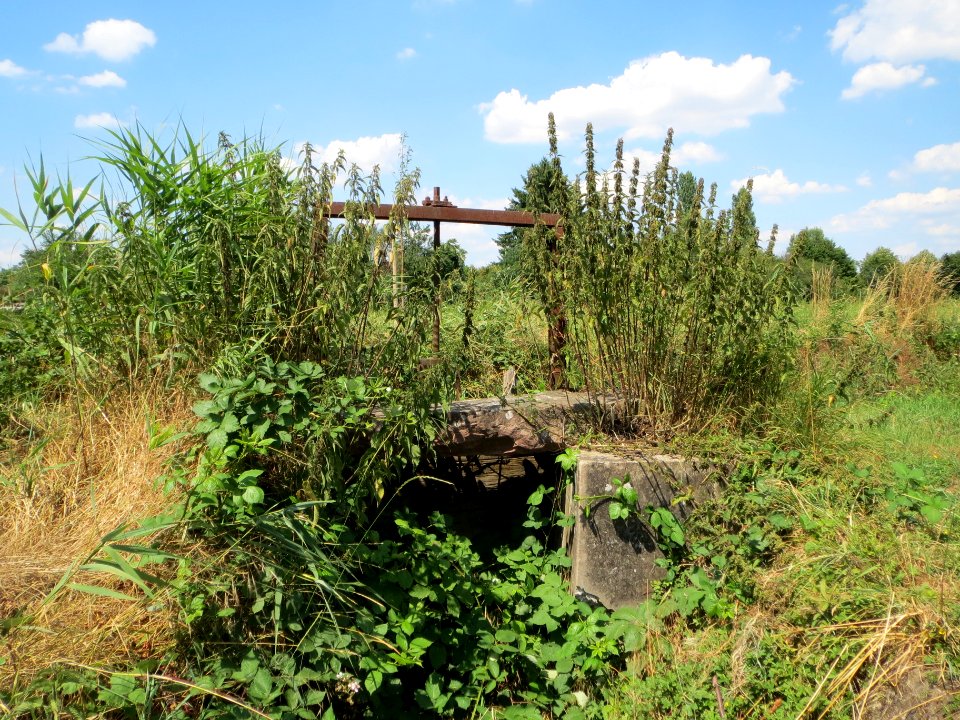 20140702Wehr_Hockenheim1