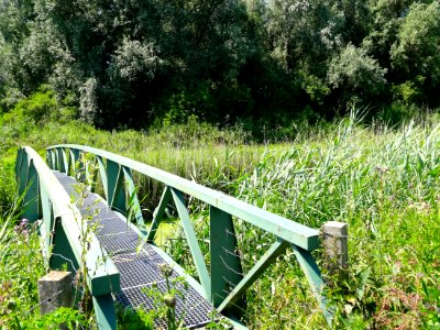 20140703_Wilgenreservaat_Zuidelijk_Flevoland