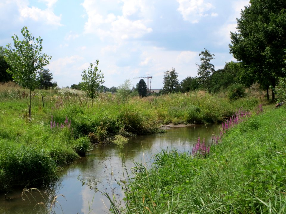 20140724Kriegbach1