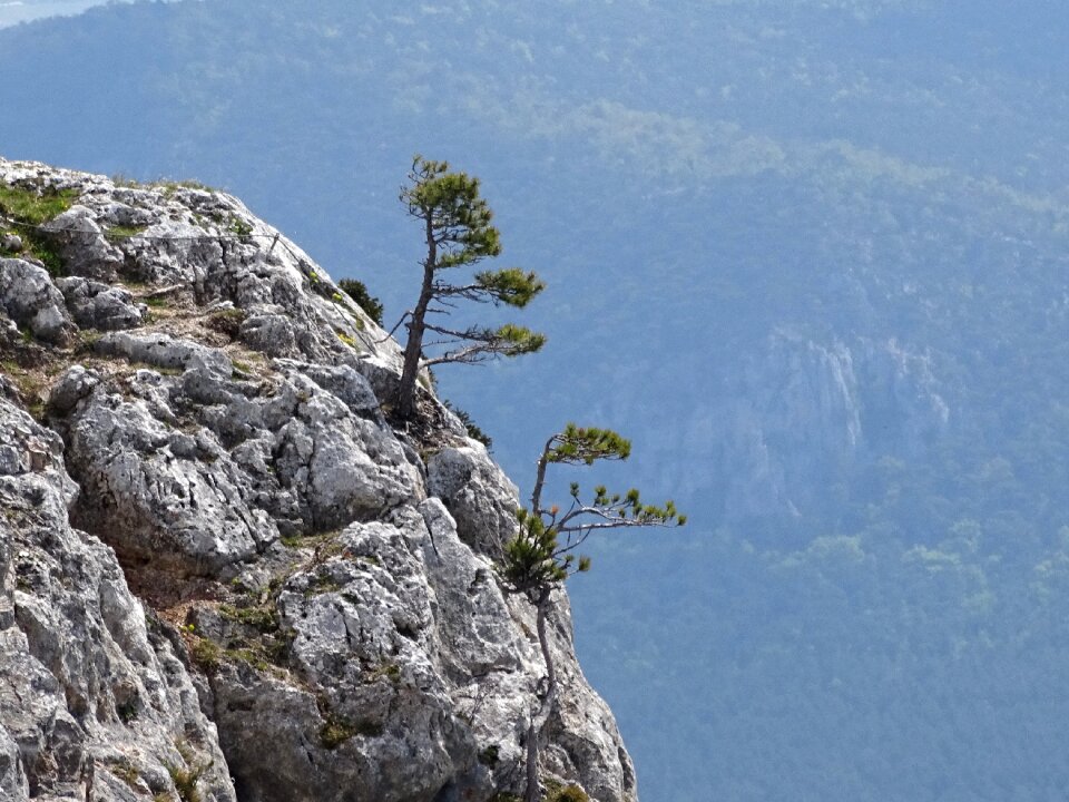 Landscape mountains austria