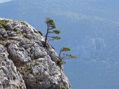 Landscape mountains austria photo