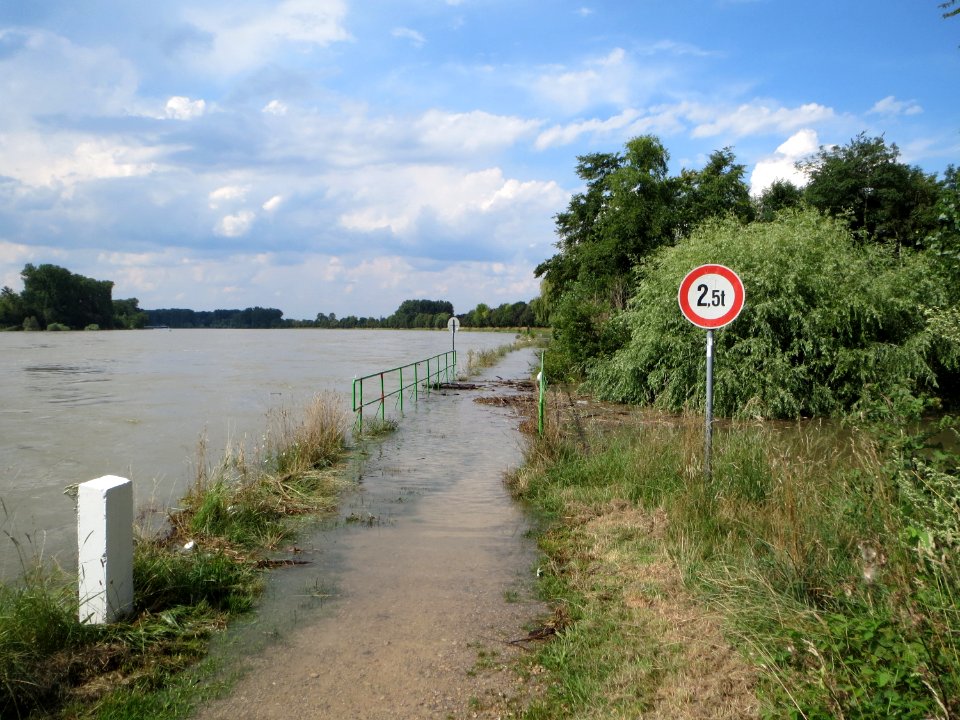 20140724Hochwasser_Altlussheim03