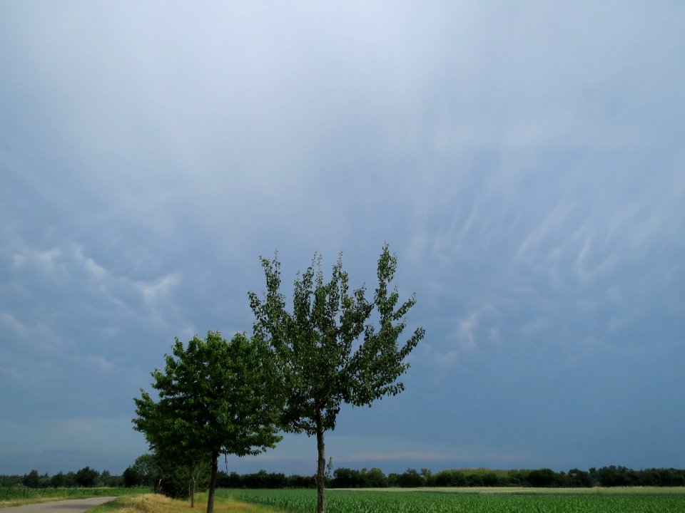 20140611Unwetter_Hockenheim3