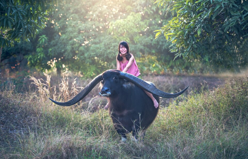 Mammal animals asia