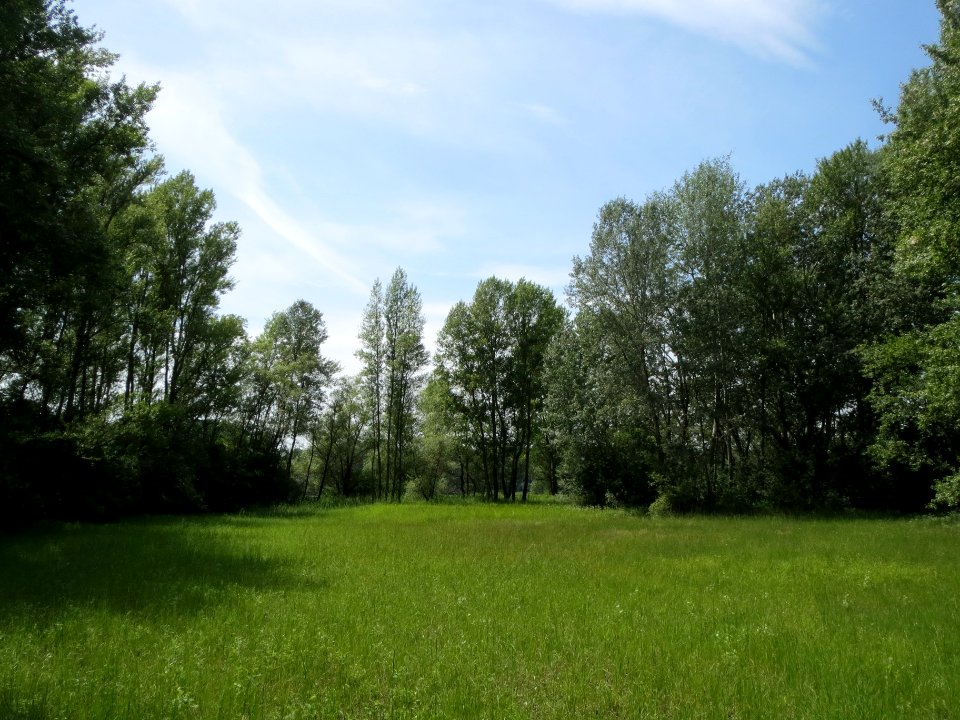 20140607Schwetzinger_Wiesen05