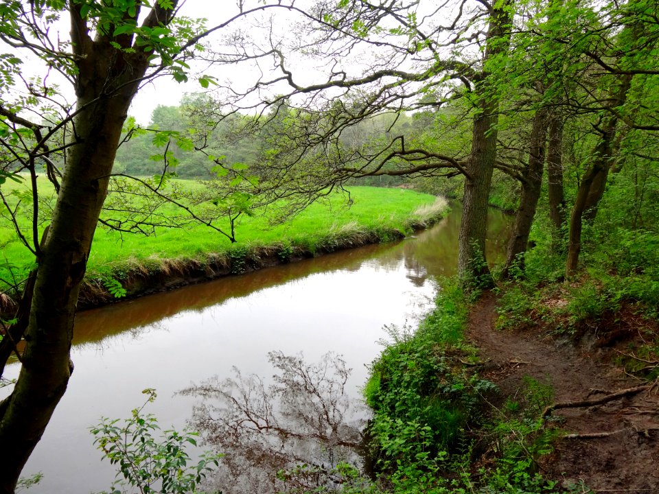 20140429_Drentsche_Aa_bij_bruggetje_ten-zuiden_van_Schipborg