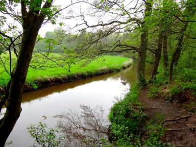 20140429_Drentsche_Aa_bij_bruggetje_ten-zuiden_van_Schipborg