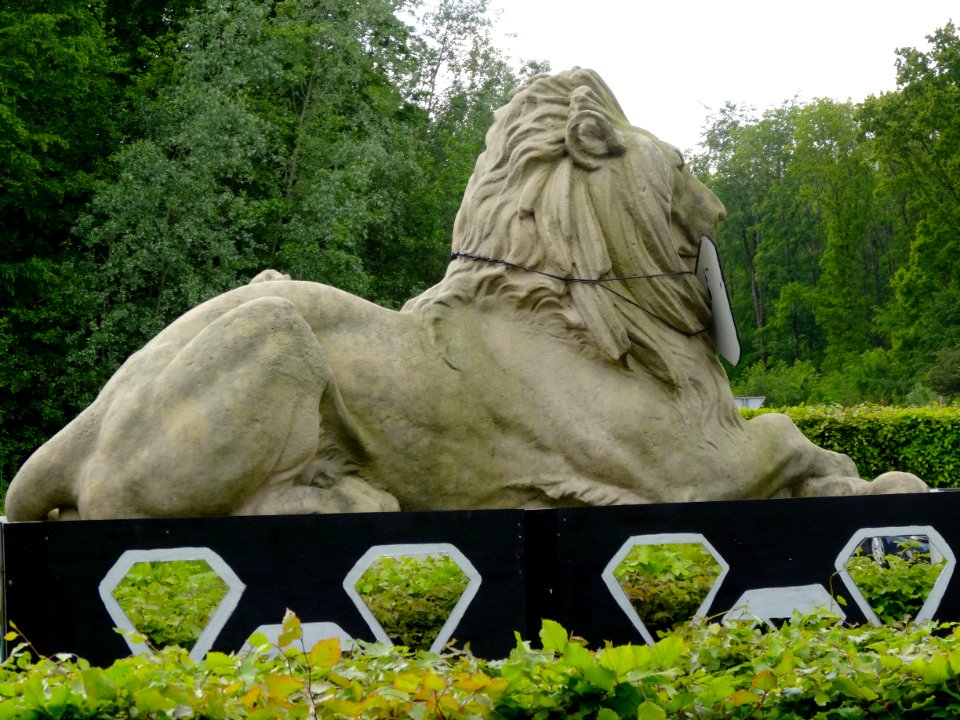 20140515_Leeuw2_Kraggenburg