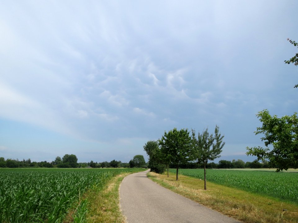 20140611Unwetter_Hockenheim2