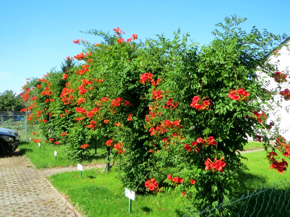 20140717Hockenheim3