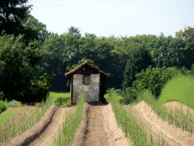 20140608Oftersheimer_Duenen