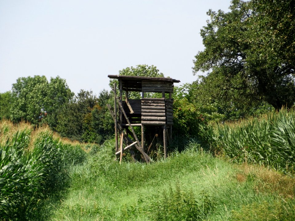 20140719Hochsitz_Reilingen1