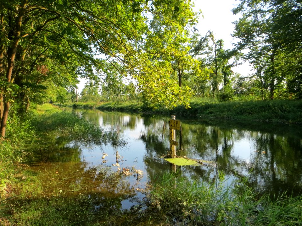20140723Rheinniederungskanal2