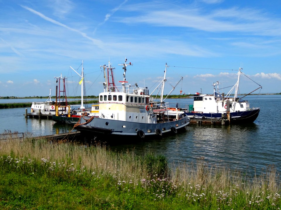 20140612_Langs_de_Oostvaardersdijk_Lelystad