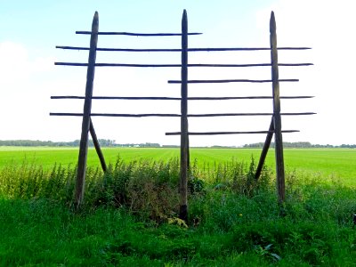 20140626_De_gedroogde_vogel_door_Pat_van_Boeckel_tussen_Meerkoetentocht_en-Eendenweg_Lelystad