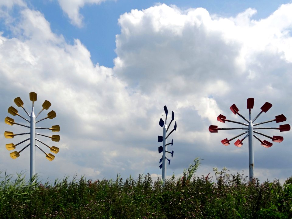 20140626_Drie_bomen_en_een_stekje_door_Willem_Hoogeveen_bij_Meerkoetentocht_Lelystad