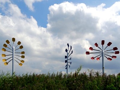 20140626_Drie_bomen_en_een_stekje_door_Willem_Hoogeveen_bij_Meerkoetentocht_Lelystad