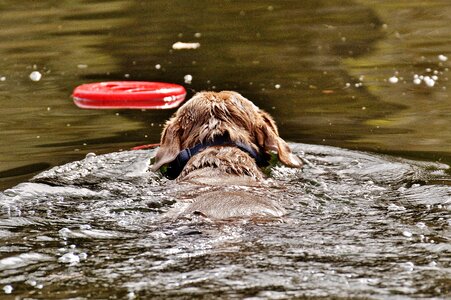 Water funny cute