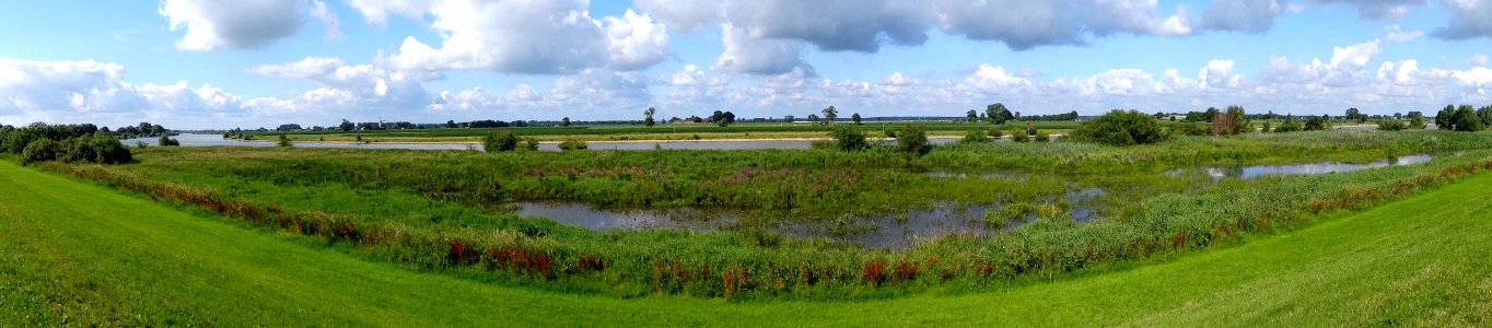 20140723_IJssel_met_uiterwaarden