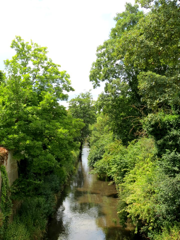 20140627Speyerbach