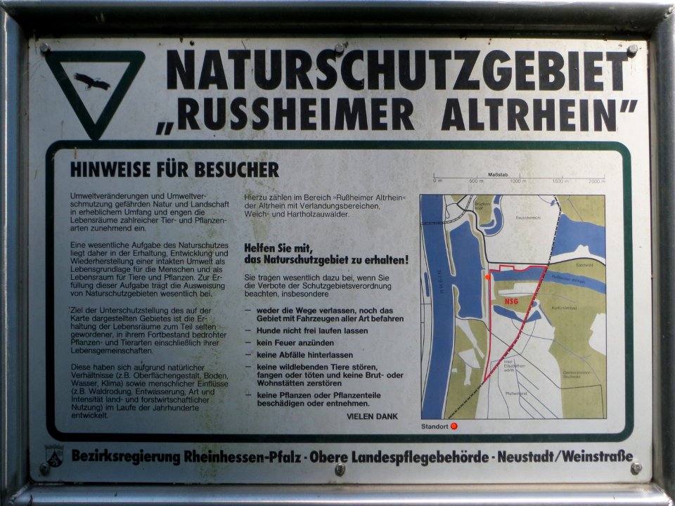 20140723Russheimer_Altrhein1