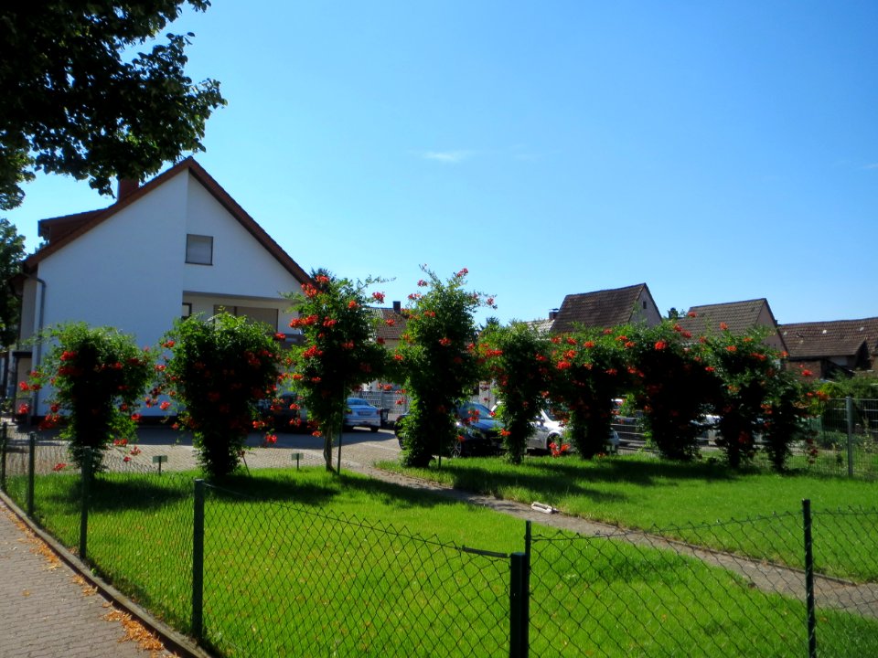 20140717Hockenheim2