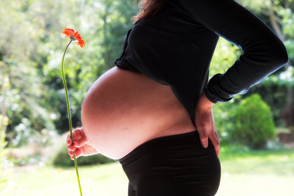 Belly mother flowers