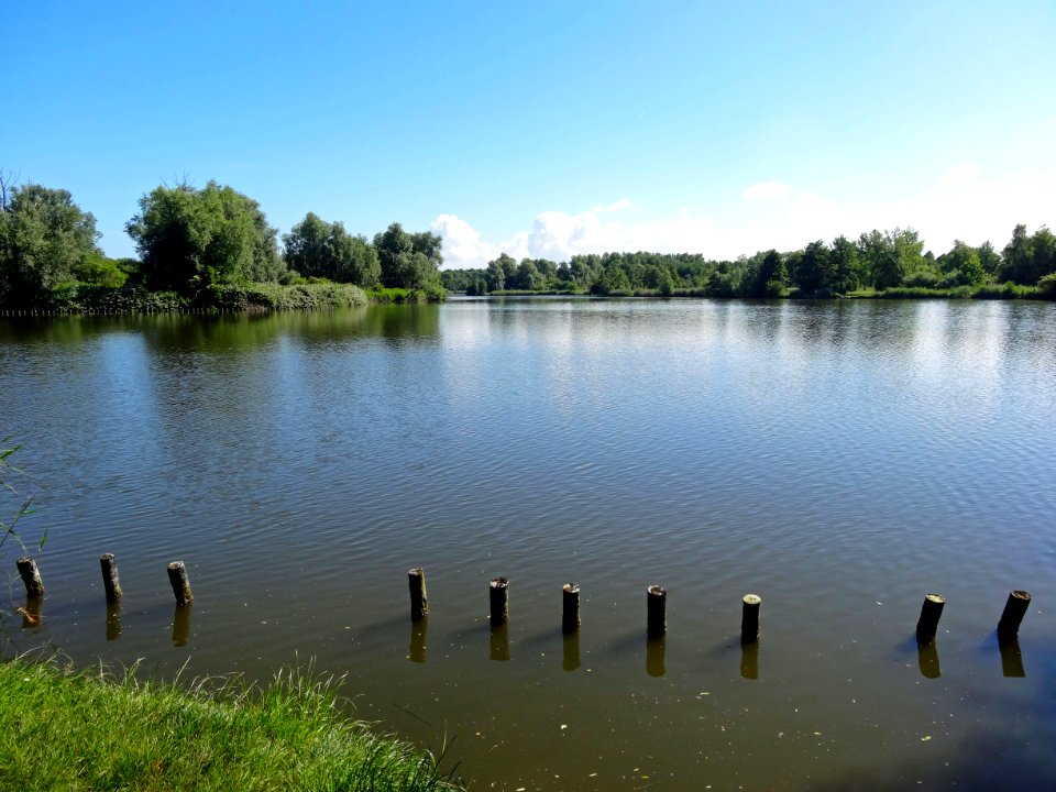 20140612_Zuigerplas2_Lelystad