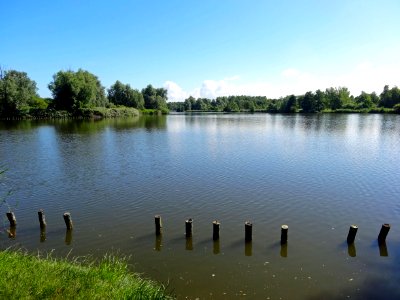 20140612_Zuigerplas2_Lelystad