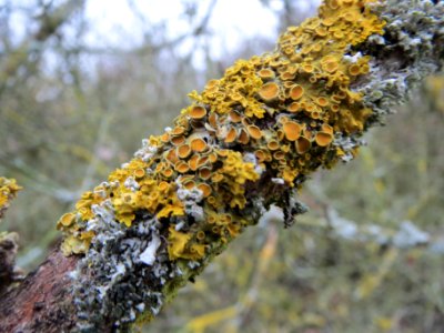 20140203Pfaffenhuetchen3