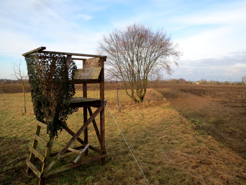 20140202Hainbuche_Hochsitz