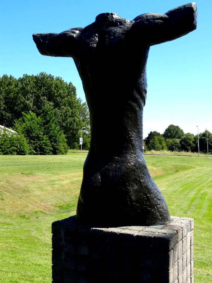 20140612_Tors2_door_Adri_van_Rooijen_Lelystad