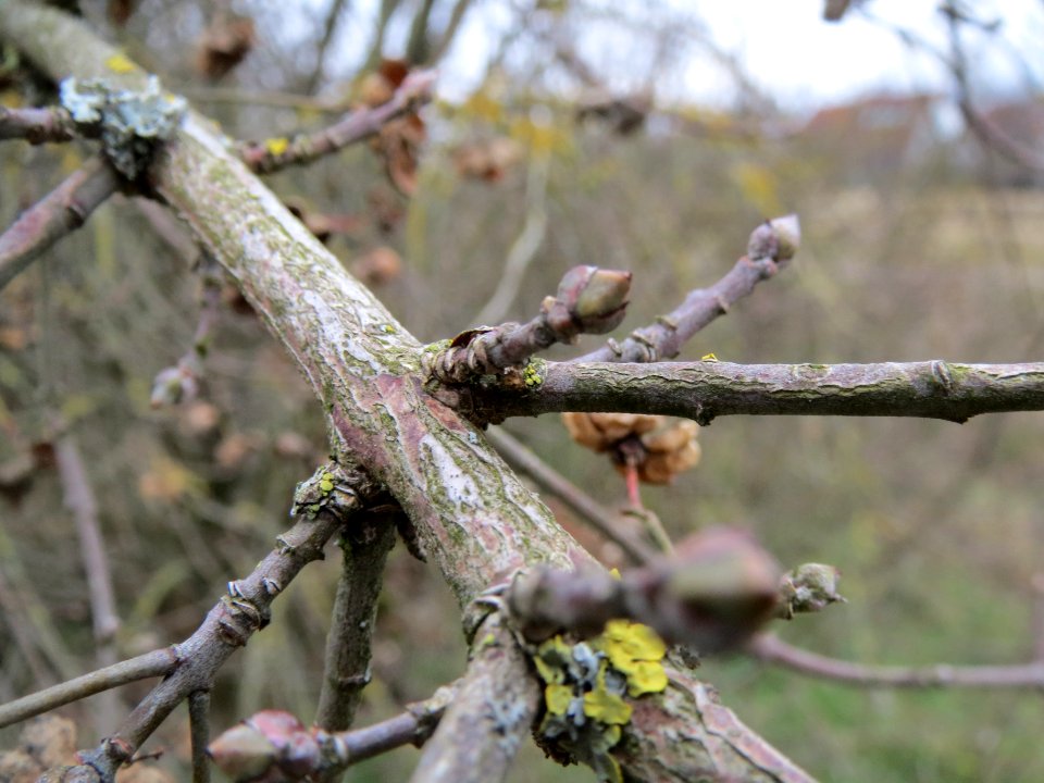 20140201Pfaffenhuetchen4