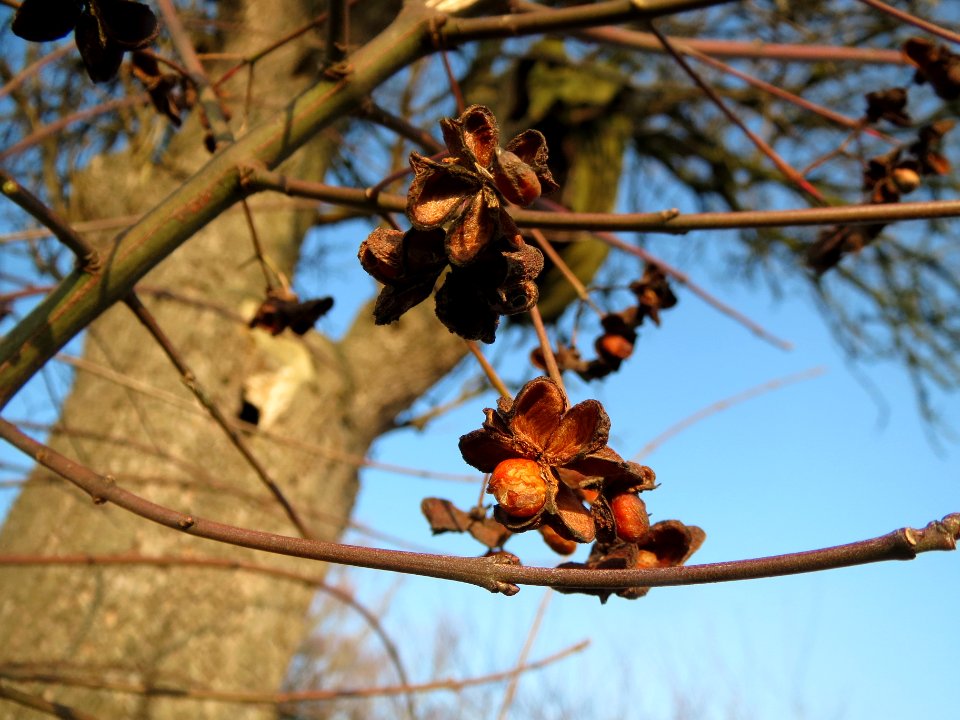 20140131Pfaffenhuetchen5