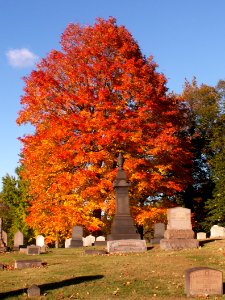 2014-10-23-Homewood-Cemetery-leaves-01