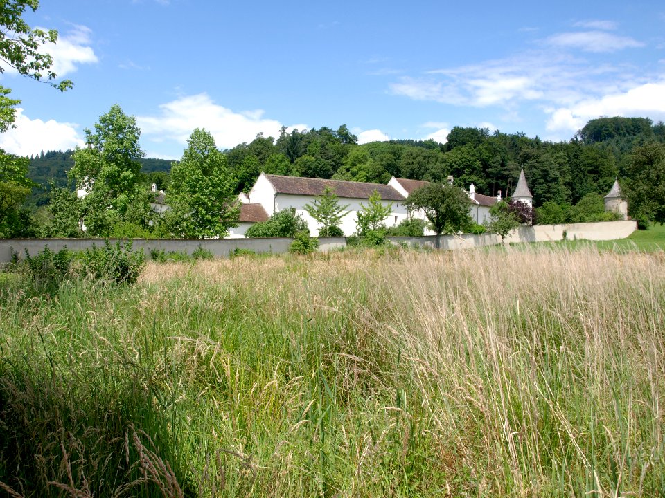 2014.06.17_-_St._Leonhard_am_Forst_-_Ehem._Gutshof_-_03