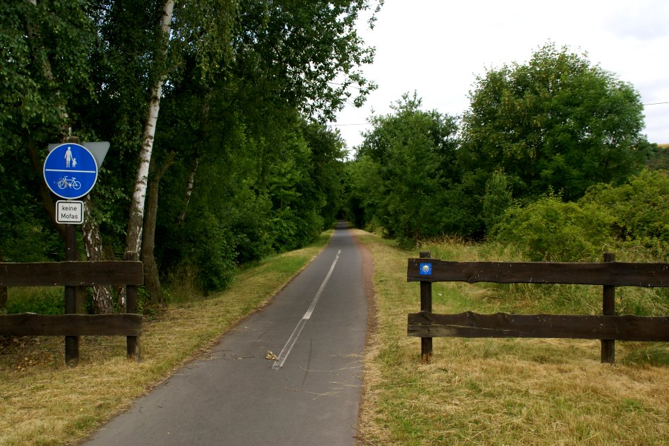 2014.06.21.102856_Maifeld-Radweg_Trimbs-Nettesürsch