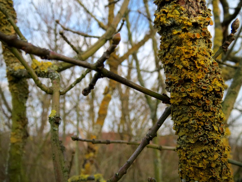 20140129Pfaffenhuetchen5