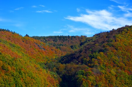 Landscape mountains forest photo
