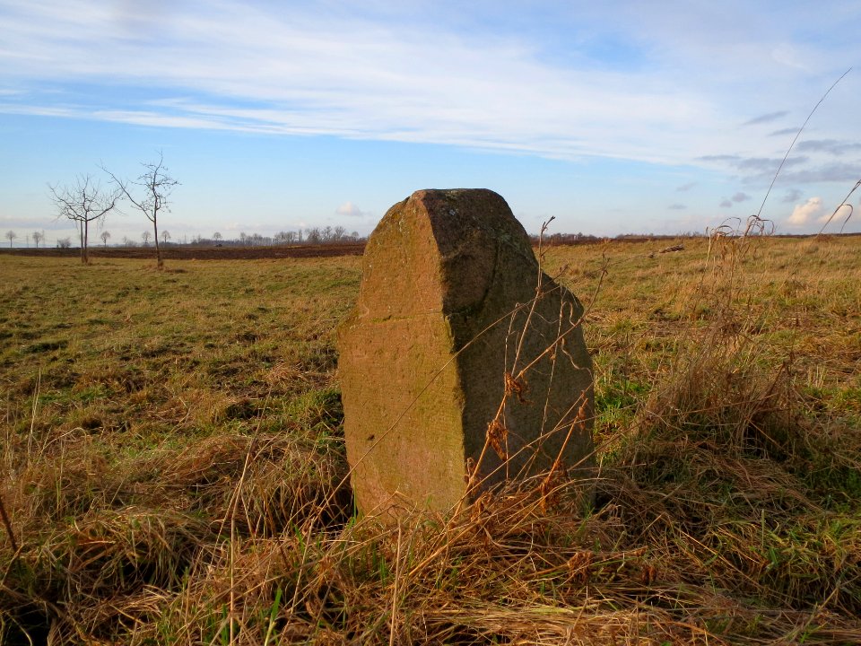 20140202Grenzstein_Neulussheim1