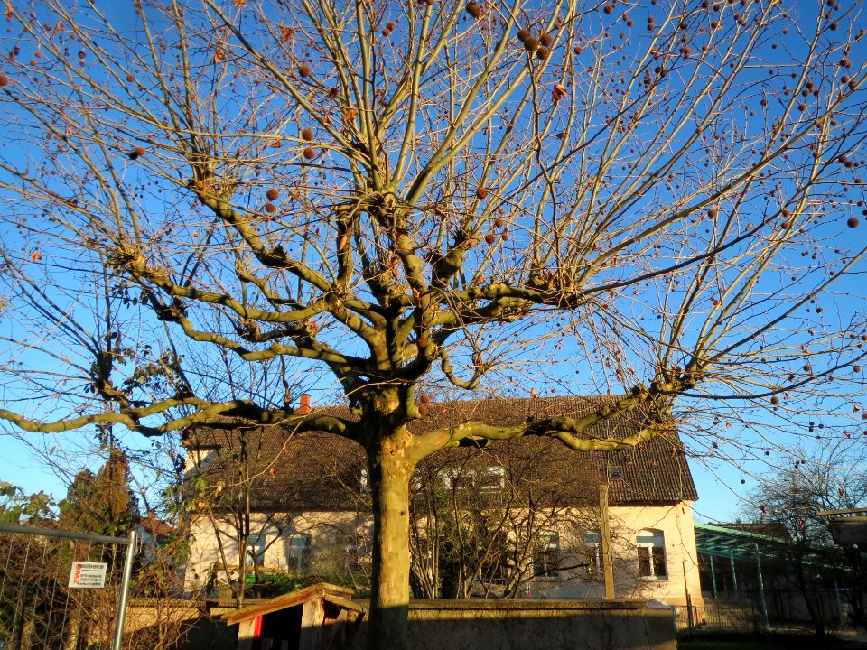 20140117Kindergarten_Neulussheim6