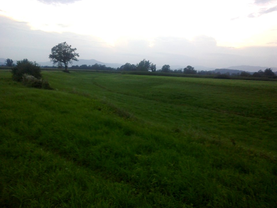 2014-9-Stara_struga_Ljubljanice