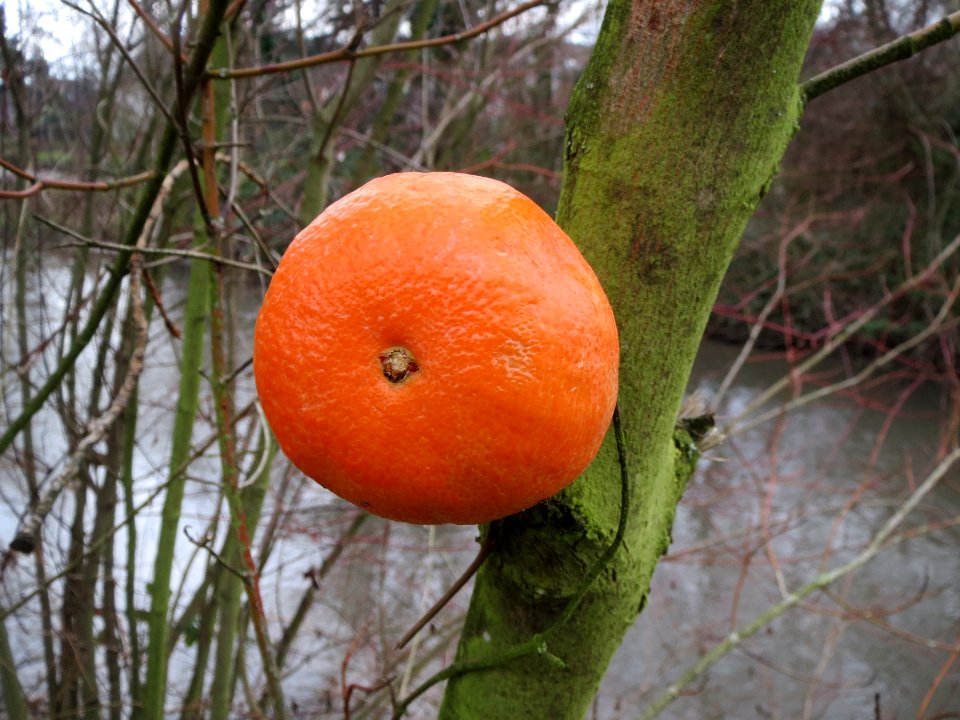 20140119Hockenheim2
