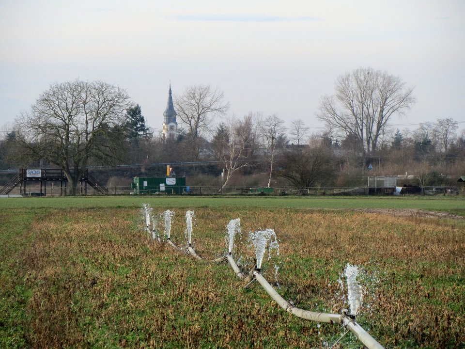 20140118Bewaesserung_Altlussheim4