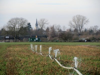 20140118Bewaesserung_Altlussheim4