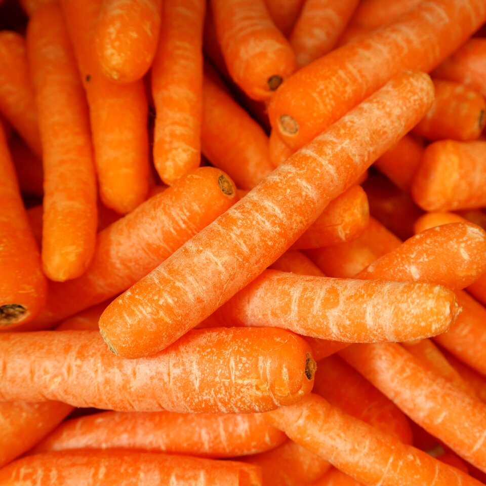 Healthy fresh vegetables raw food