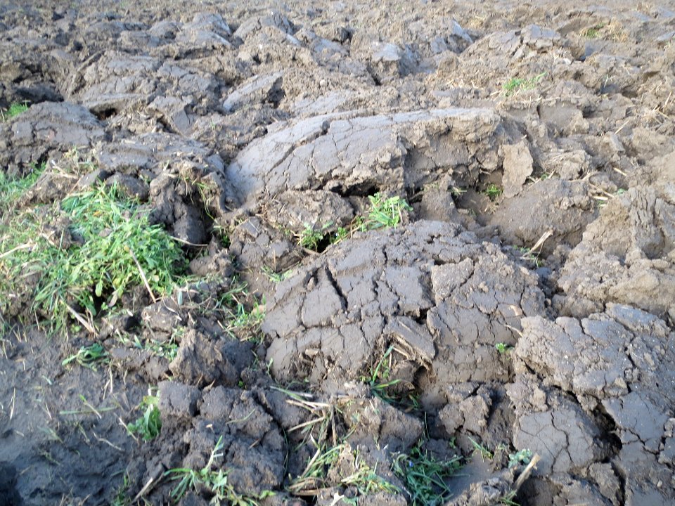 20140212Feld_Reilingen1