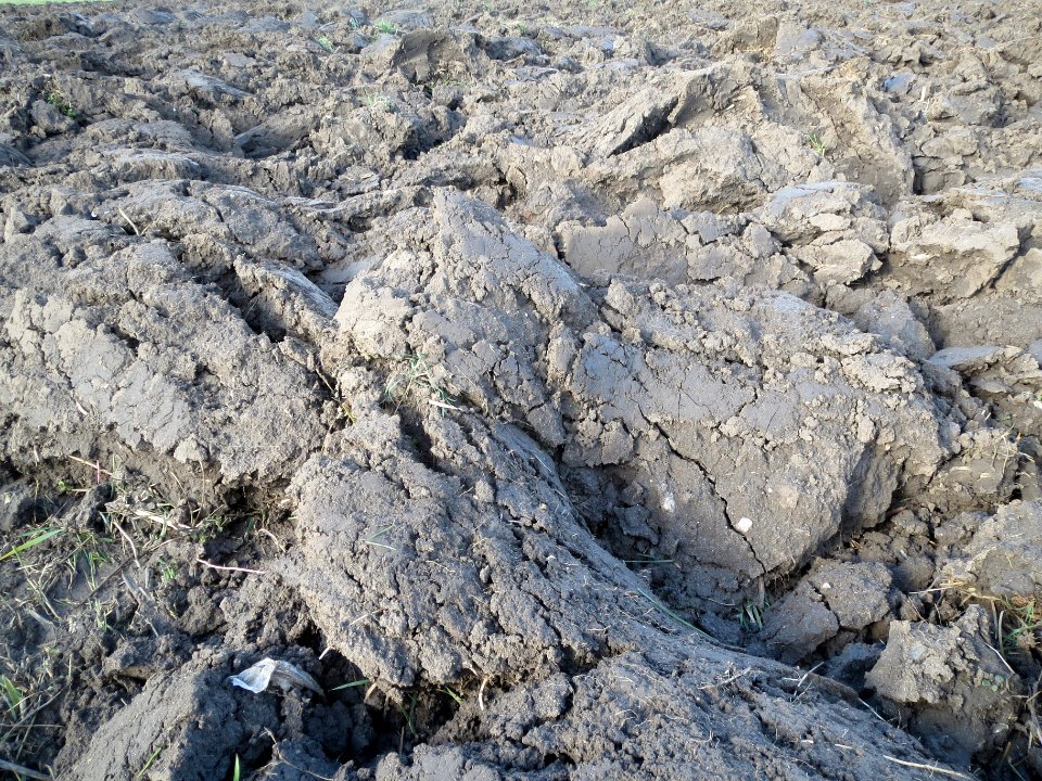 20140212Feld_Reilingen4