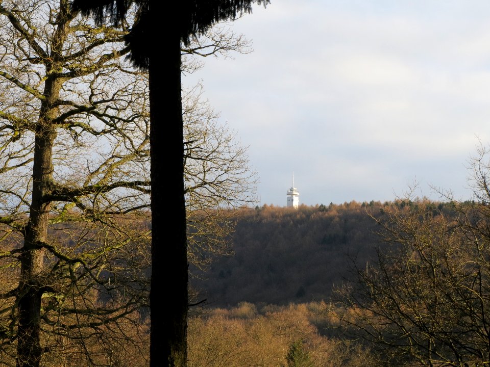 20140105Wildpark_Saarbruecken04