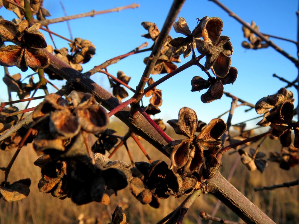 20140117Pfaffenhuetchen2